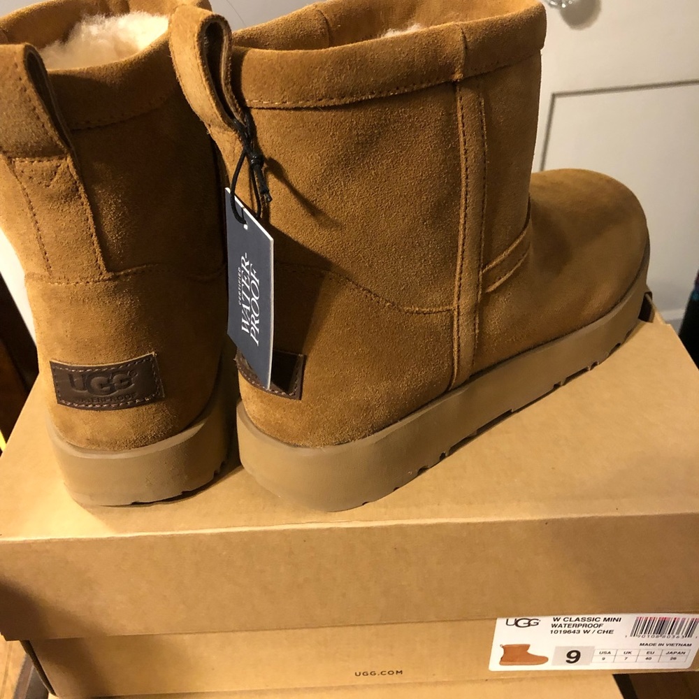 Classic chestnut Uggs